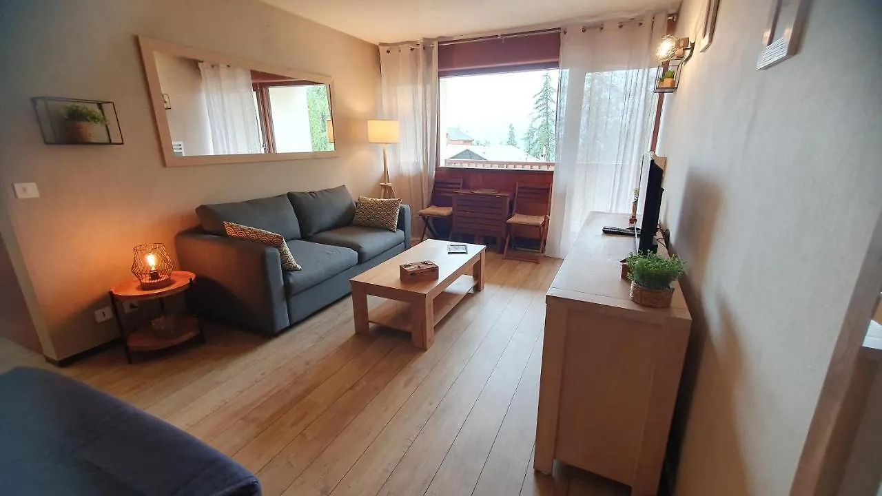 Studio Centre Et Pied Des Pistes Valberg France
